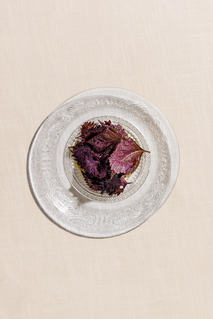 Mahi Mahi, Straciatella, Tarragon,  Red Shiso